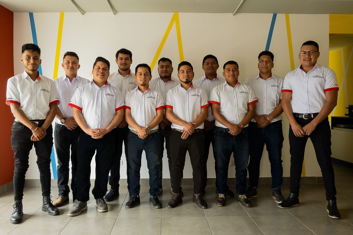 Fuerza de ventas Electroauto